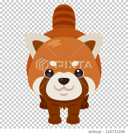 正面から見たレッサーパンダのイラスト 128732208
