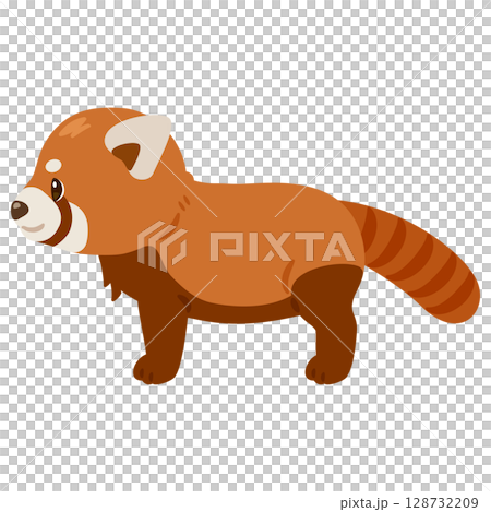 紅熊貓的側面插圖 128732209
