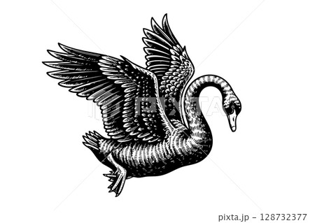 Graceful vector illustration of a swan in flight, showcasing its elegance and beauty. Wildlife Animals. 128732377