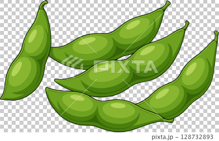 シンプルな枝豆のイラスト 128732893