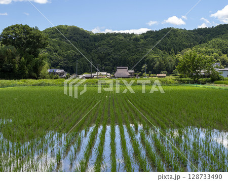京都府南丹市に広がる田園風景 128733490