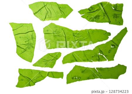 Set of pieces of ripped and torn crumpled green paper isolated on a white background. Copy space 128734223