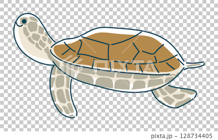 海龜的線描插圖 128734405