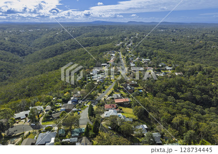 Houses along Burns Road adjacent to Sassafras Gully in Springwood 128734445
