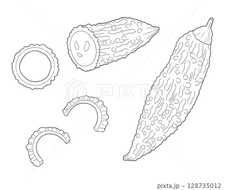 ゴーヤの線画 ゴーヤの線画 128735012