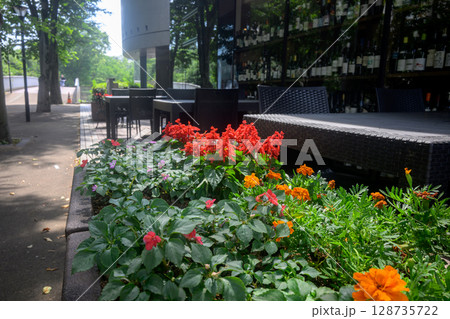 酒屋の前の花壇 128735722