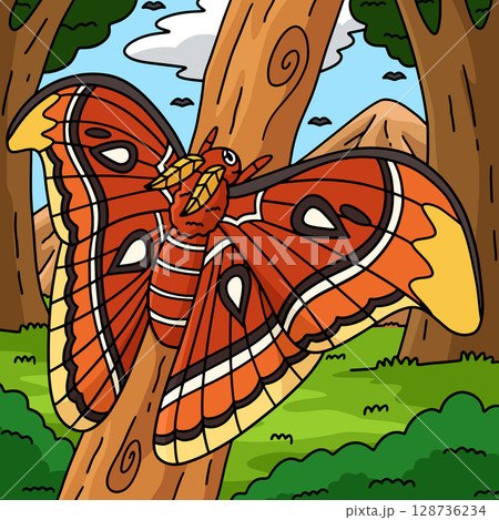 Insect Atlas Moth Animal Colored Cartoon Insect Atlas Moth Animal Colored Cartoon 128736234