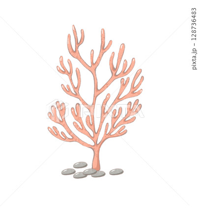 pink coral cartoon drawing with decorations in flat cute hand drawn style 128736483
