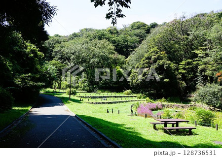 久良岐公園 128736531