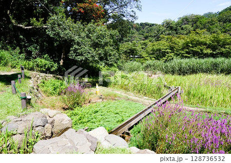 久良岐公園 久良岐公園 128736532