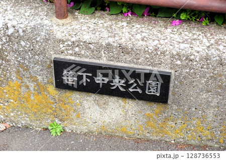 笹下中央公園 128736553