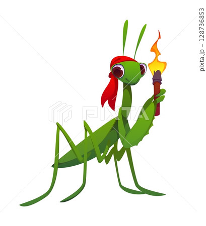 Cartoon praying mantis animal character dressed as a pirate wearing red bandana and holding a lit torch. Isolated vector fantasy game or book insect swashbuckler personage ready for nautical adventure Cartoon praying mantis animal character dressed as a pirate wearing red bandana and holding a lit torch. Isolated vector fantasy game or book insect swashbuckler personage ready for nautical adventure 128736853