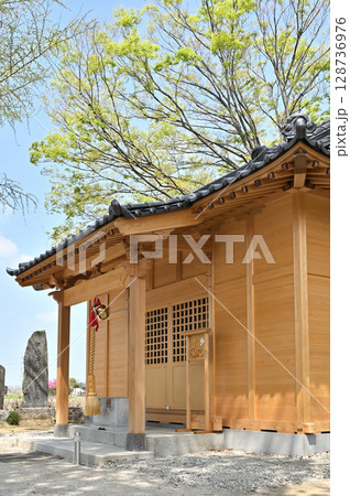 宮代町散歩：身代神社(このしろじんじゃ) 拝殿 128736976