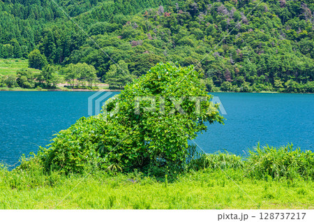 奥琵琶湖風景　滋賀県長浜市西浅井町菅浦 128737217
