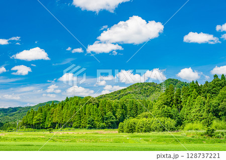 奥琵琶湖地方の山林風景　滋賀県長浜市西浅井町 128737221