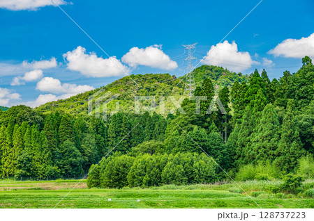 奥琵琶湖地方の山林風景　滋賀県長浜市西浅井町 128737223