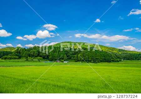 奥琵琶湖地方の長閑な田園風景 滋賀県長浜市西浅井町 奥琵琶湖地方の長閑な田園風景 滋賀県長浜市西浅井町 128737224