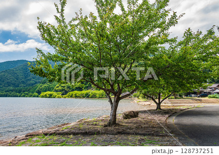 奥琵琶湖風景　滋賀県長浜市西浅井町大浦 128737251