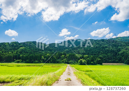 奥琵琶湖地方の長閑な田園風景　滋賀県長浜市西浅井町 128737260