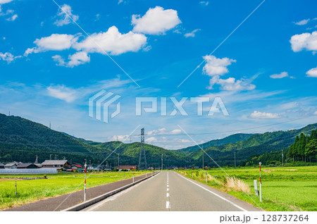 奥琵琶湖地方の長閑な田園風景 滋賀県長浜市西浅井町 奥琵琶湖地方の長閑な田園風景 滋賀県長浜市西浅井町 128737264