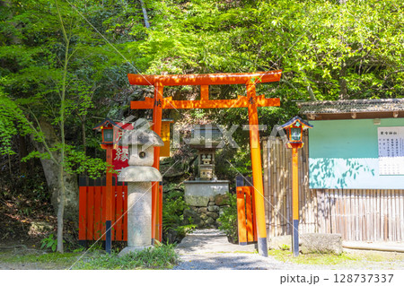 夏の兵庫　売布神社　厳島神社 128737337