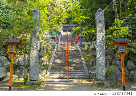 夏の兵庫 売布神社 夏の兵庫 売布神社 128737341