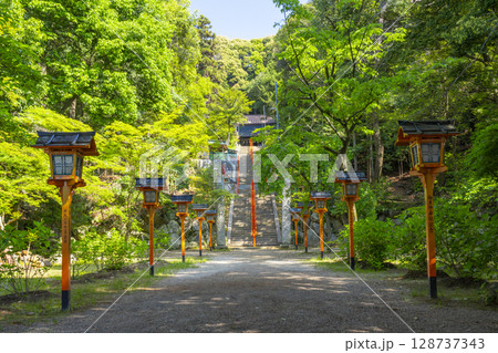 夏の兵庫 売布神社 夏の兵庫 売布神社 128737343