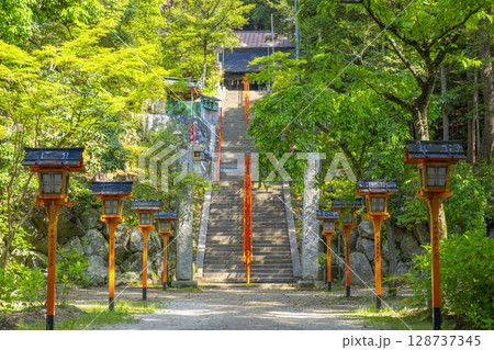夏の兵庫 売布神社 夏の兵庫 売布神社 128737345