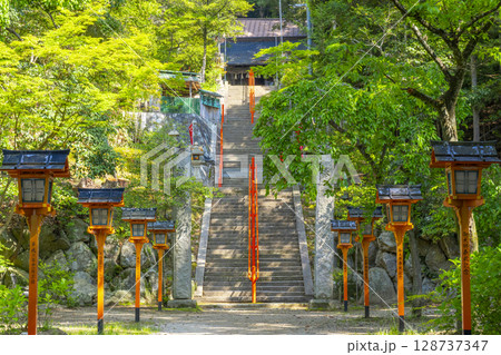 夏の兵庫　売布神社 128737347
