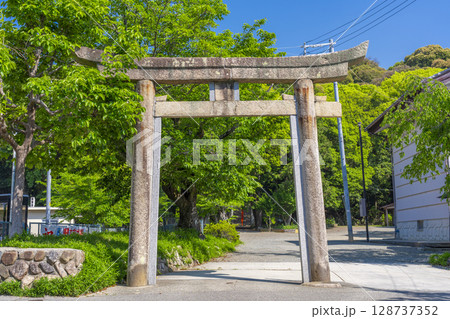 夏の兵庫 売布神社 石鳥居 夏の兵庫 売布神社 石鳥居 128737352