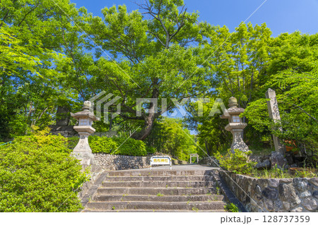 夏の兵庫 売布神社 石燈籠 夏の兵庫 売布神社 石燈籠 128737359
