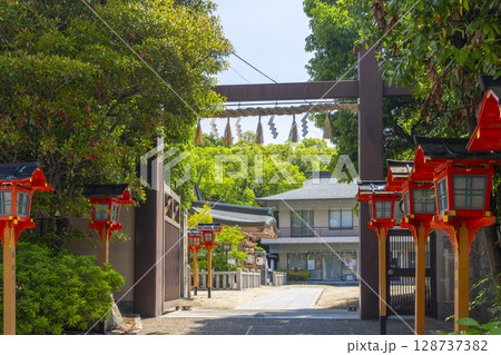 夏の大阪　服部住吉神社　拝殿 128737382