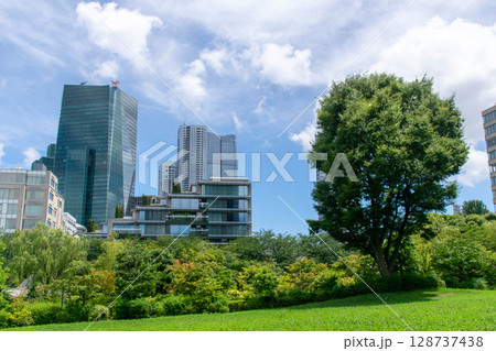 港区立檜町公園、ビル群と大樹 128737438