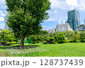 港区檜町公園、大樹とビルと芝生広場 128737439