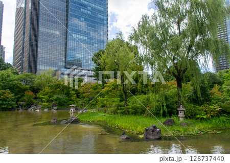 港区立檜町公園・日本庭園風の風景 128737440