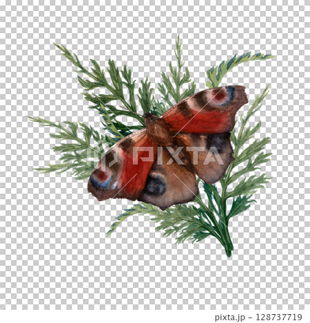 Butterfly Aglais io on green leaves. Watercolor hand drawn illustration. Butterfly Aglais io on green leaves. Watercolor hand drawn illustration. 128737719