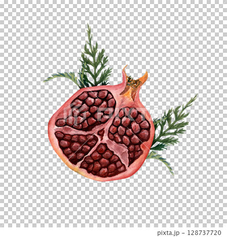 Half of pomegranate fruit cut with leaves. Watercolor hand drawn illustration. 128737720