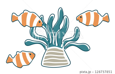 クマノミとイソギンチャク クマノミとイソギンチャク 128737851