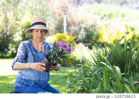 Mature woman kneeling by garden bed in backyard, holding purple plant with root ball, copy space Mature woman kneeling by garden bed in backyard, holding purple plant with root ball, copy space 128738613