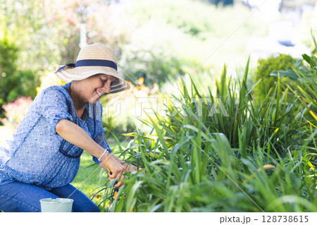 Senior woman kneeling in backyard garden trimming plants with pruning shears near green bucket 128738615