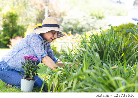 Senior woman weeding plants in backyard garden, with straw sun hat and potted purple flowers Senior woman weeding plants in backyard garden, with straw sun hat and potted purple flowers 128738616