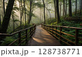 木漏れ日が差し込む静かな森の遊歩道 128738771