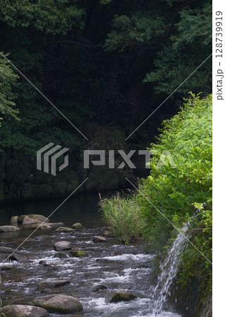 静かな川の流れ 静かな川の流れ 128739919