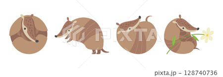 Adorable Armadillos Pleistocene Animal Character in Various Poses Vector Set Adorable Armadillos Pleistocene Animal Character in Various Poses Vector Set 128740736