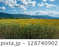 【徳島県】善入寺島のひまわり 128740902