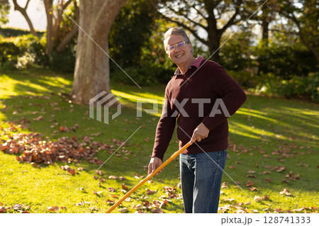 Senior man raking autumn leaves on sunlit garden lawn, with orange-handled rake and glasses 128741333