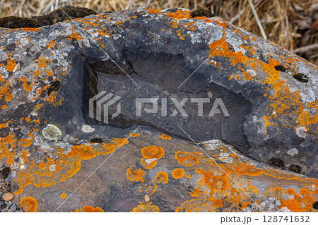Rock with Pool of Water and Lichen in Serene Nature Setting 128741632