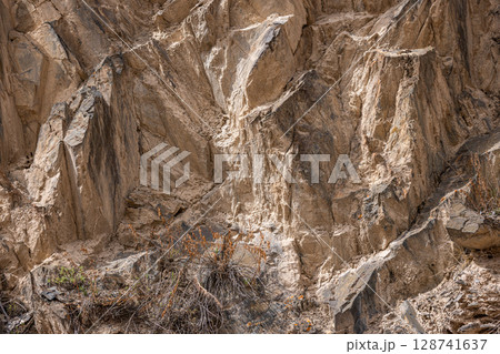 Rugged sedimentary rocks terrain with plants under bright daylight 128741637