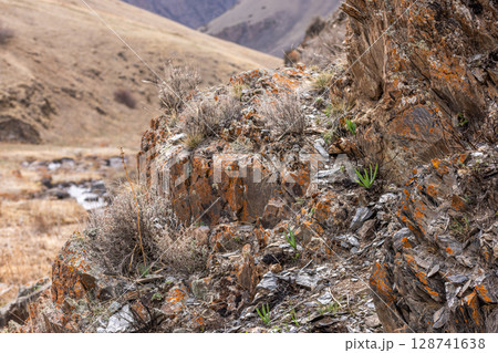 Rugged mountain landscape with rocks and plants in daytime Rugged mountain landscape with rocks and plants in daytime 128741638