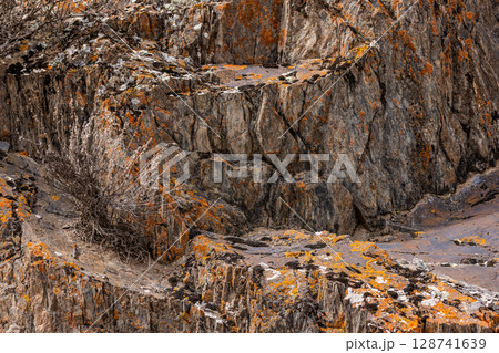 Rugged rock formations with orange lichen and dry plants 128741639